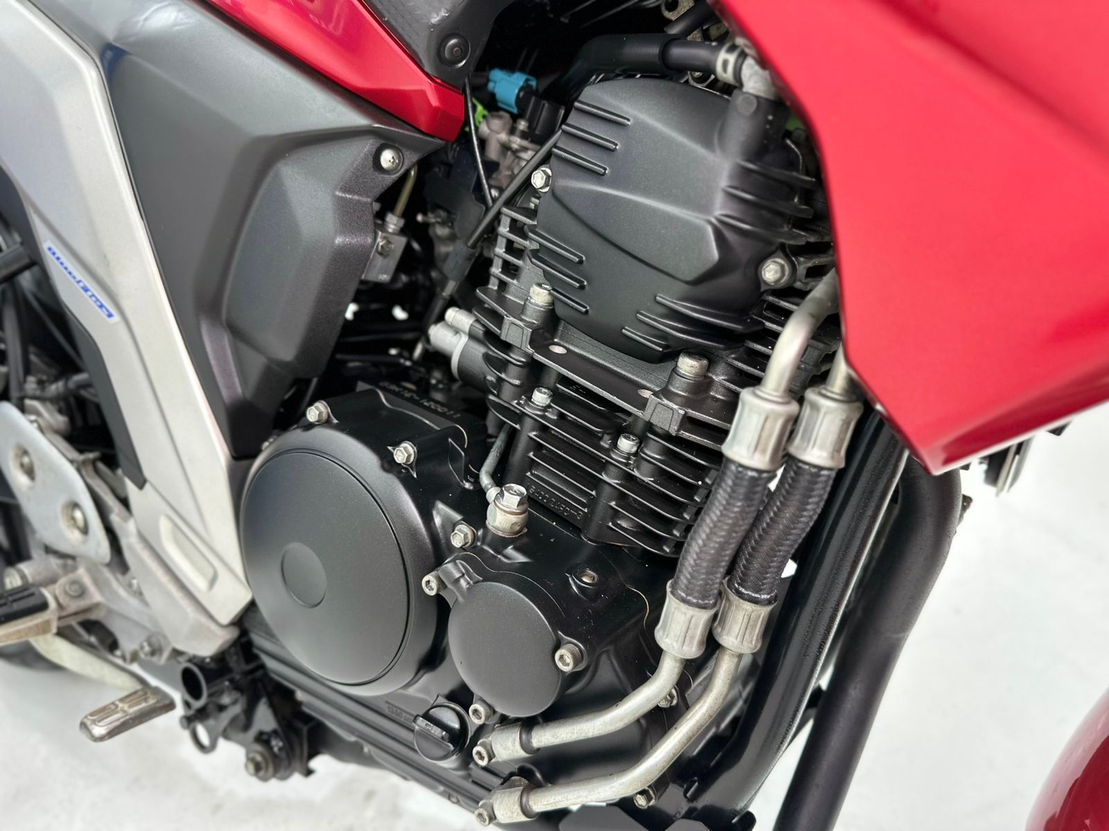 Fz 25