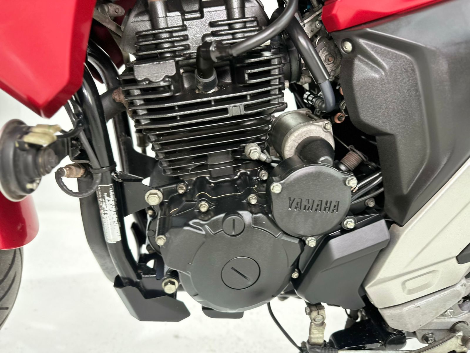 Fz 25