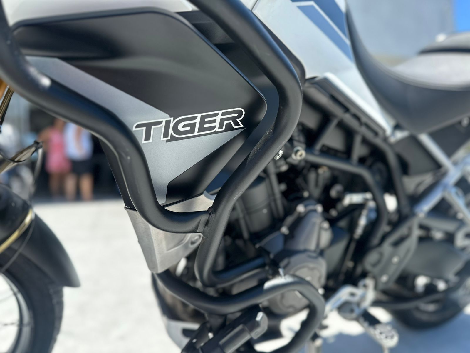 Tiger 900 Rally pro