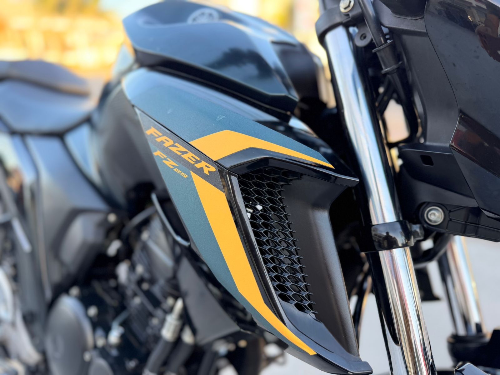 FZ 25