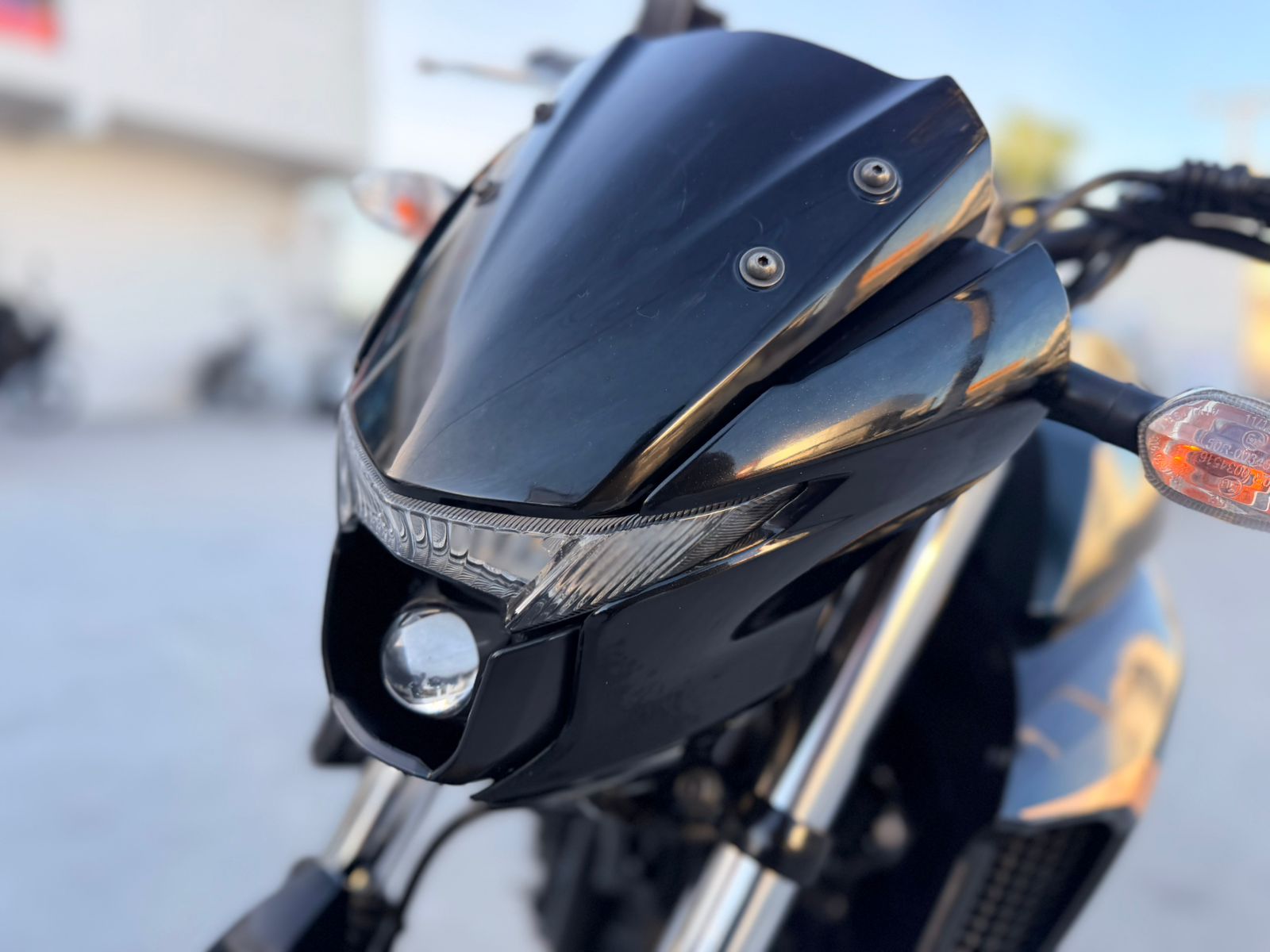 FZ 25
