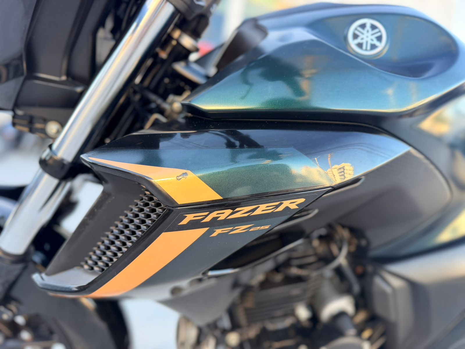 FZ 25
