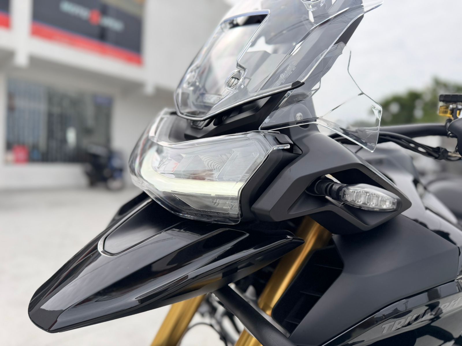 Tiger 1200 Bl Edition