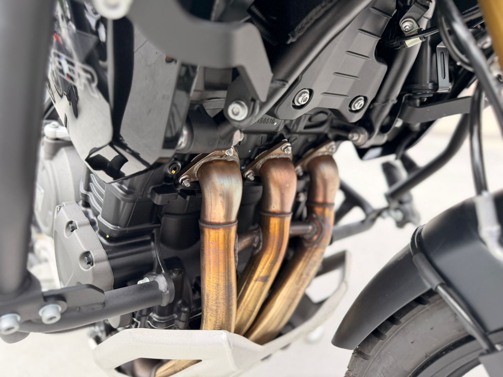 Tiger 1200 Bl Edition