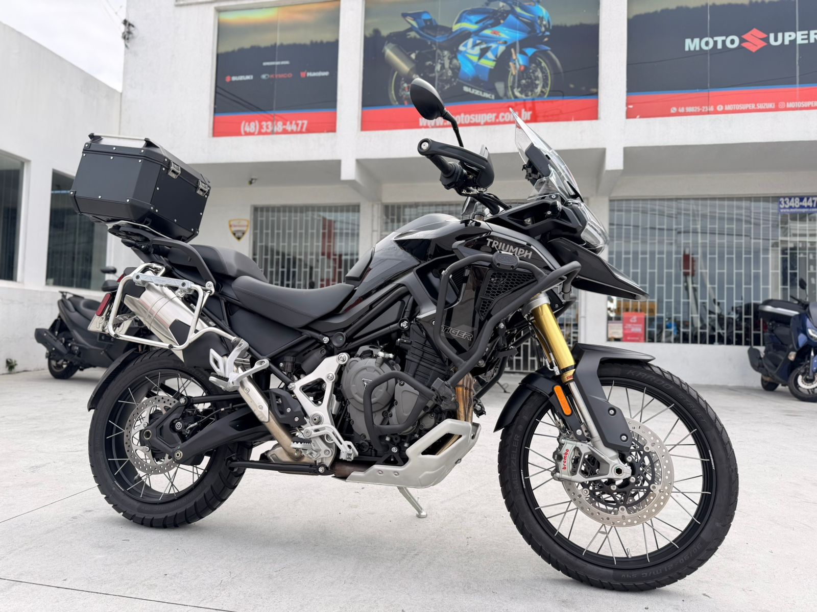 Tiger 1200 Bl Edition