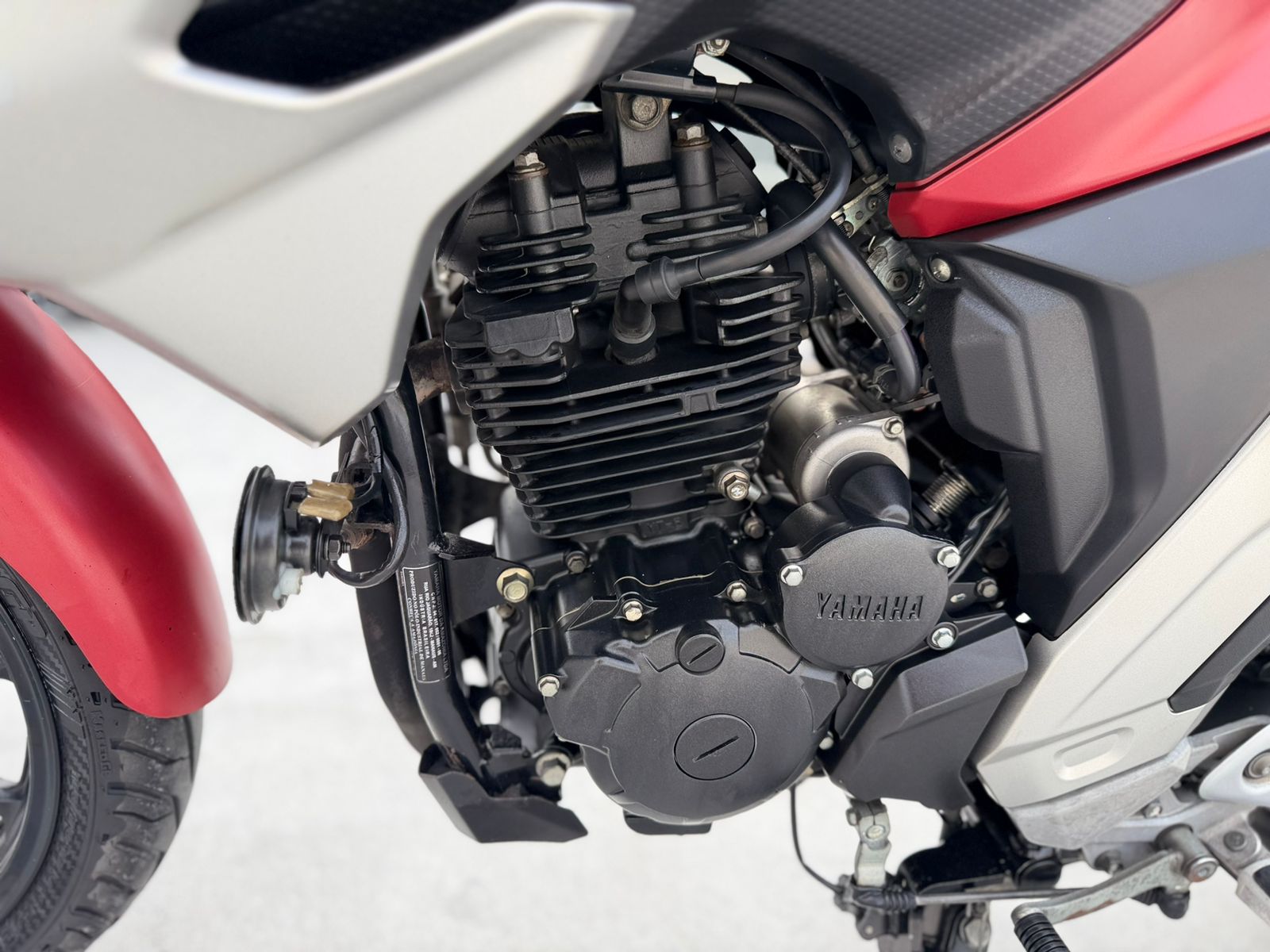 Fz25